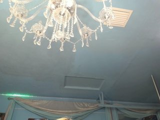 adrianna_fox