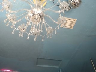 adrianna_fox