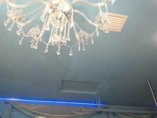 adrianna_fox