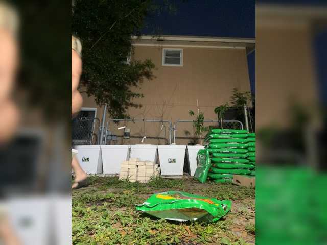 Preview of adrianna_fox