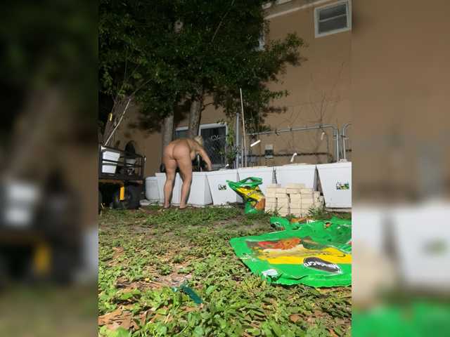 Preview of adrianna_fox