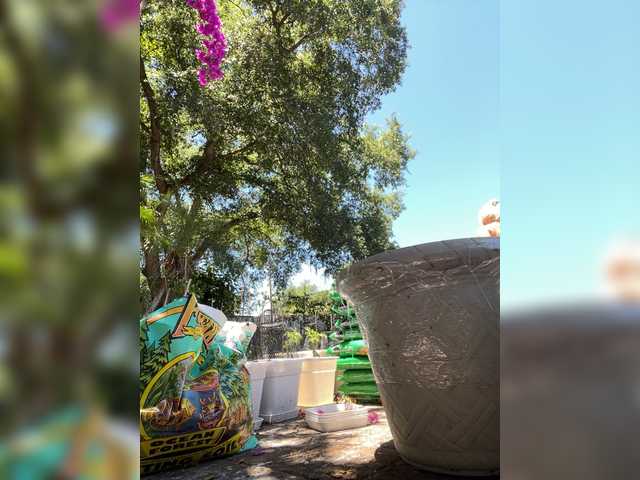 adrianna_fox cam belle