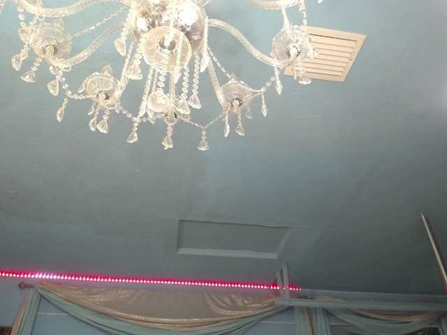 adrianna_fox live cam preview