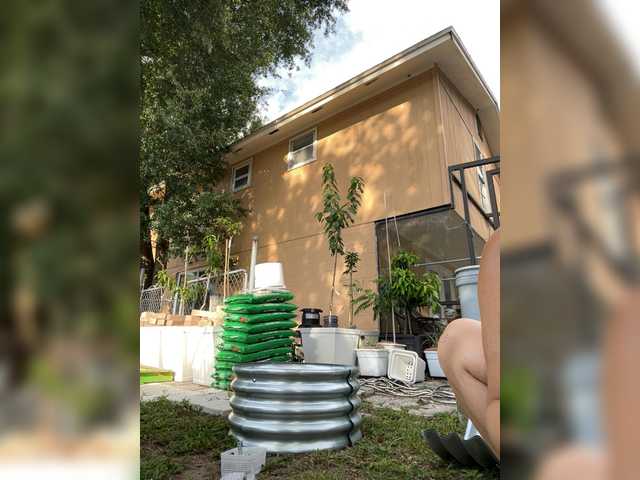 adrianna_fox live cam