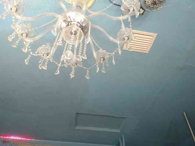 adrianna_fox webcam
