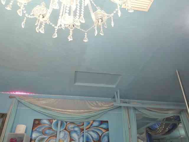 adrianna_fox webcam