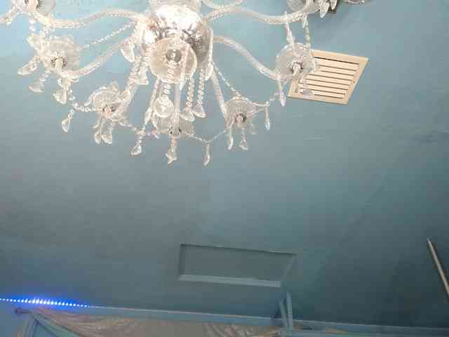 adrianna_fox webcam