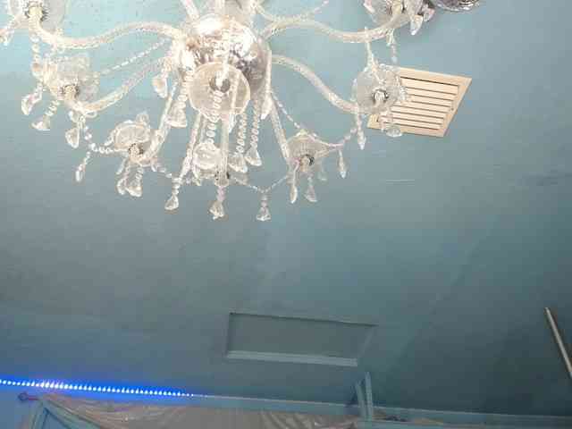adrianna_fox webcam