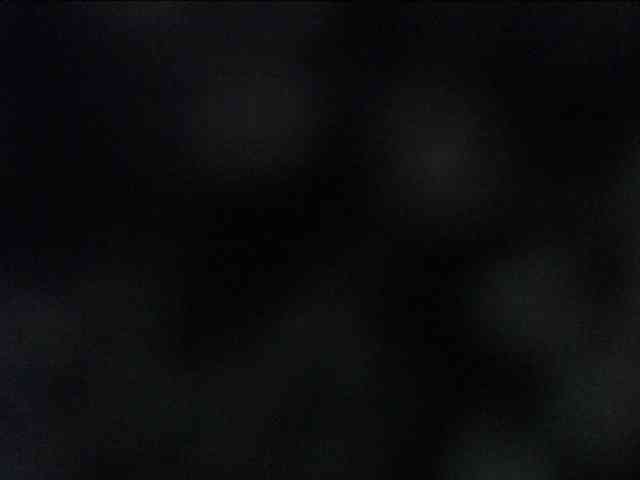 adrianna_fox webcam