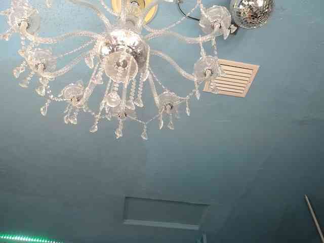 adrianna_fox webcam