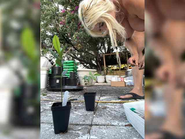 adrianna_fox webcam
