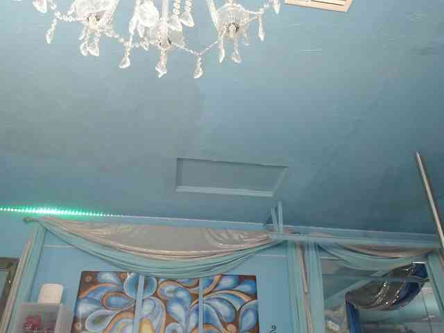adrianna_fox webcam
