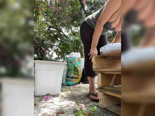 adrianna_fox webcam