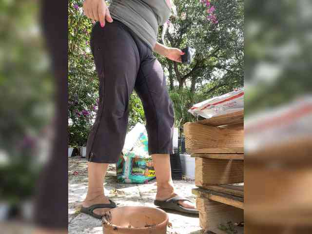 adrianna_fox webcam