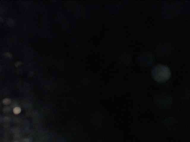 adrianna_fox webcam