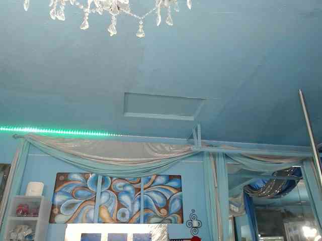 adrianna_fox webcam
