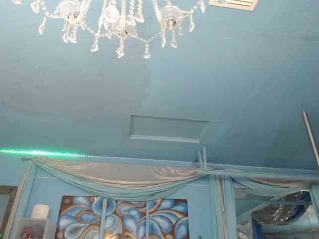 adrianna_fox webcam