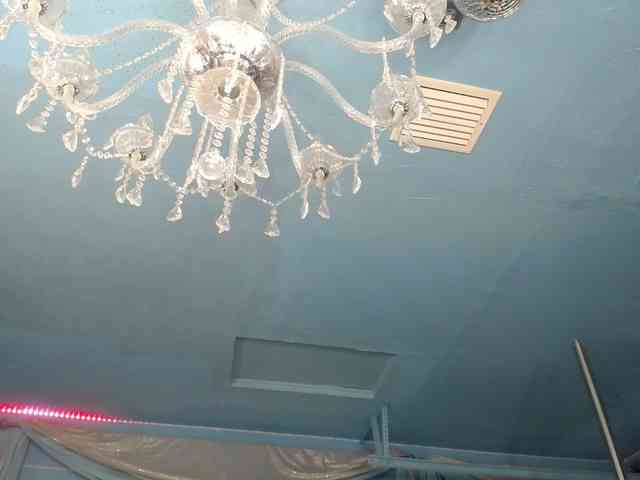 adrianna_fox webcam