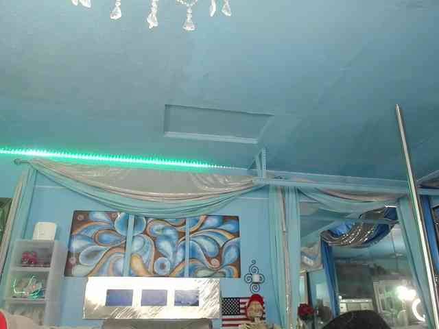 adrianna_fox webcam
