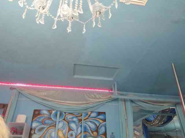 adrianna_fox webcam