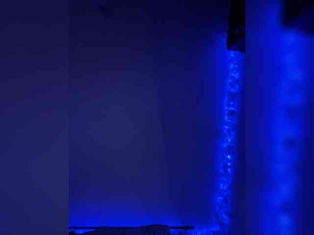 SEXmax3D