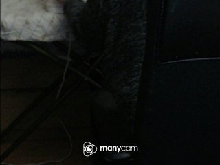 mayalove4u Porn Show
