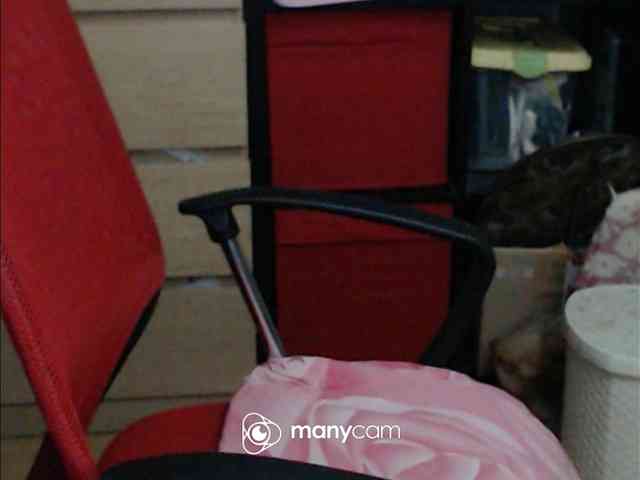 mayalove4u webcam