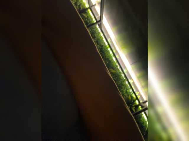 Lisa1225 live cam on BongaCams