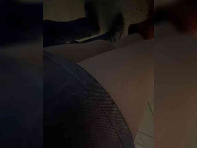 Lisa1225 webcam