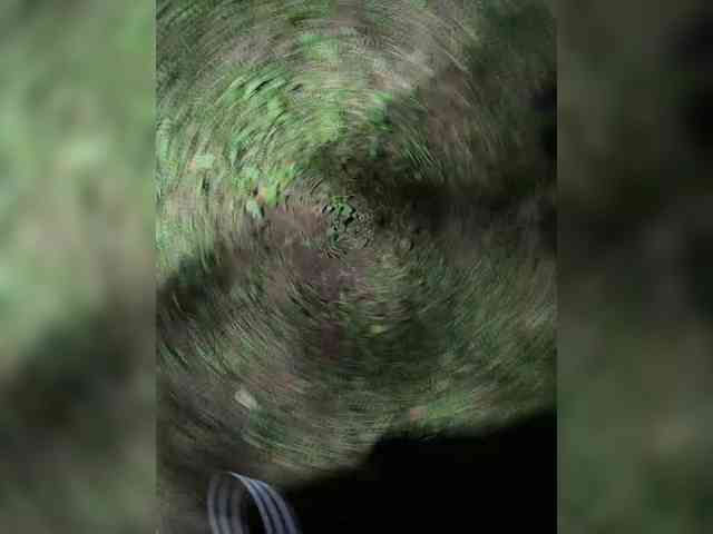 Lisa1225 webcam