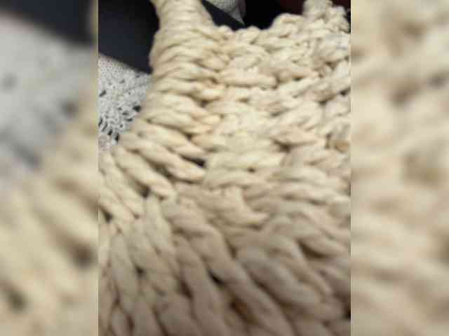 Lisa1225 webcam