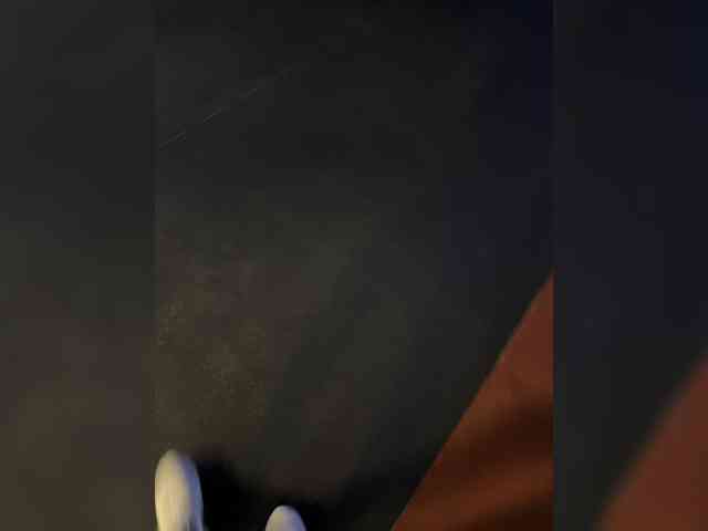 Lisa1225 webcam
