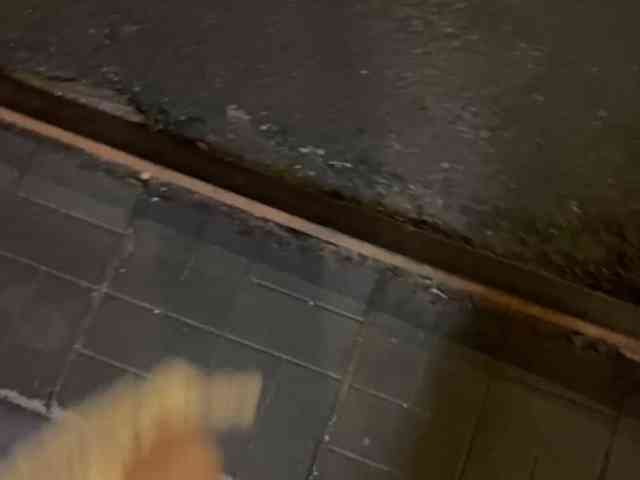 Lisa1225 webcam