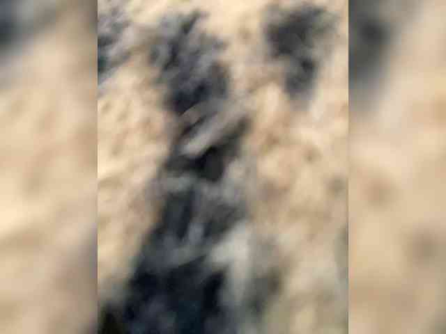 Lisa1225 webcam