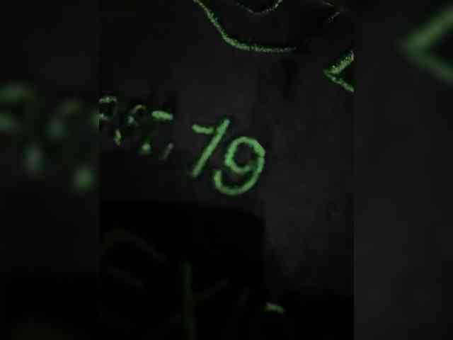 Lisa1225 webcam