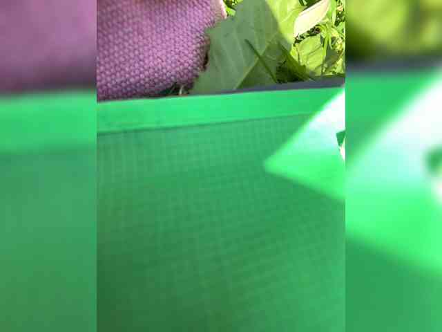 Lisa1225 webcam