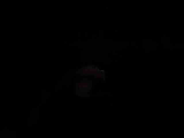 Lisa1225 webcam