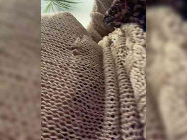 Lisa1225 webcam