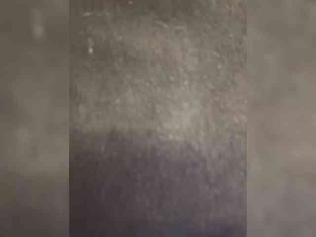 Lisa1225 webcam