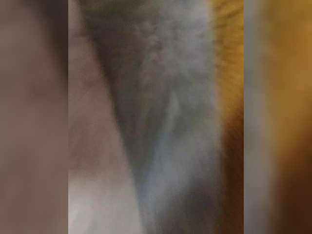 Misslyolika