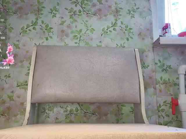 Myfancy webcam