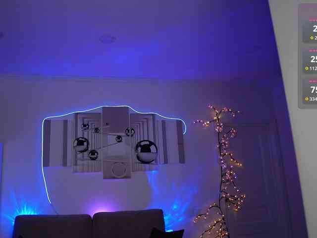 SayYesS webcam