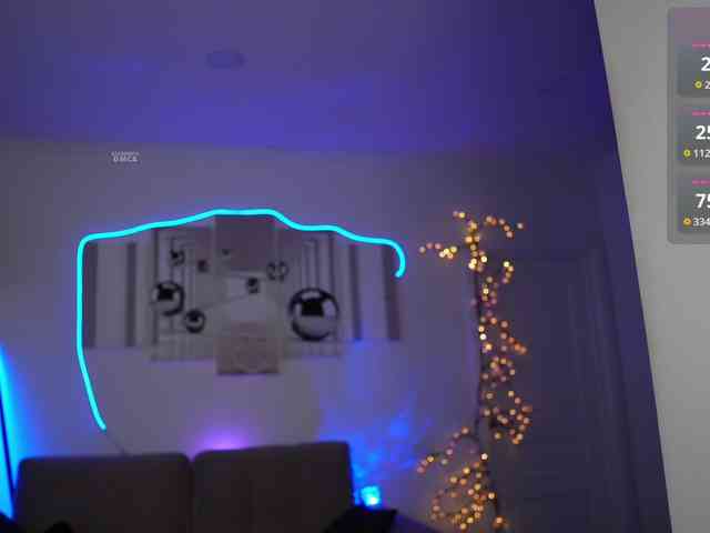 SayYesS webcam