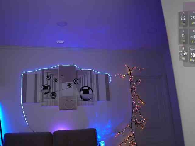 SayYesS webcam