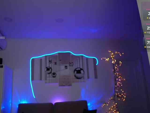 SayYesS webcam