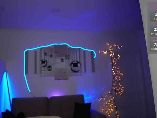 SayYesS webcam