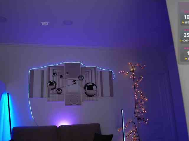 SayYesS webcam