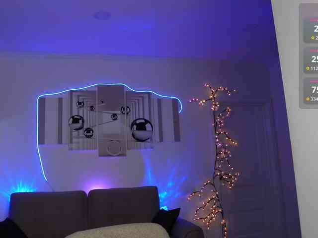 SayYesS webcam