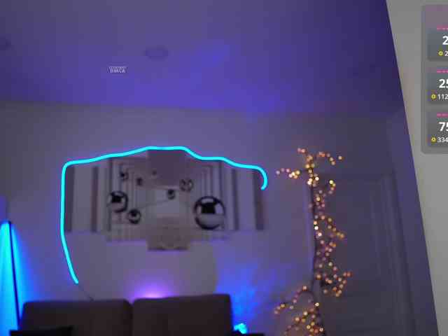 SayYesS webcam