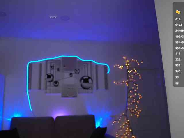 SayYesS webcam